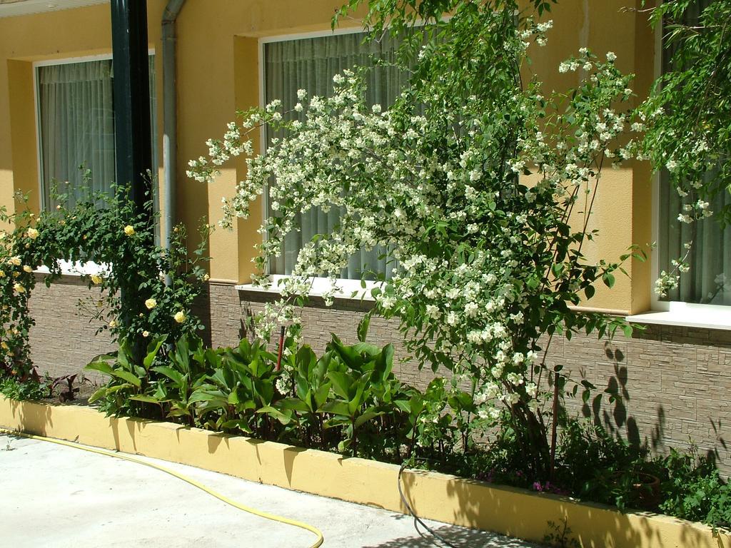 Hotel Rio Piscina Priego De Cordoba Exterior photo